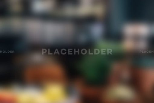 placeholder03 placeholder03